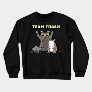 Team Trash Opossum Raccoon Rat, Funny Animals Garbage Gang Crewneck Sweatshirt